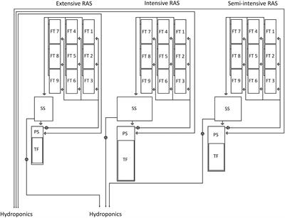 Bacterial community in African catfish (Clarias gariepinus) recirculating aquaculture systems under different stocking densities